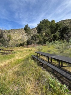 wildernesspark1